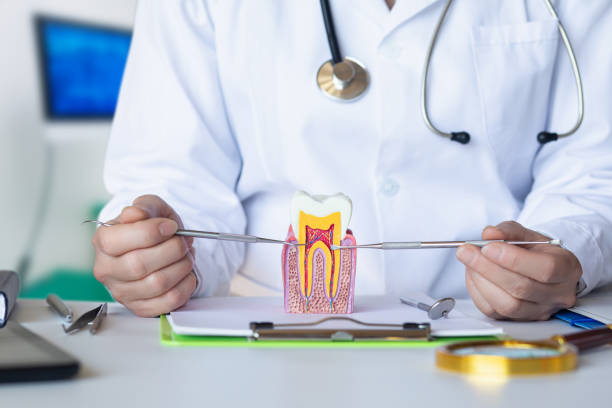 Best Emergency Denture Repair in Neenah, WI